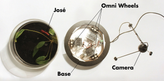 Illustration for article titled A Mobile Aquarium Steered By a Fish Named José